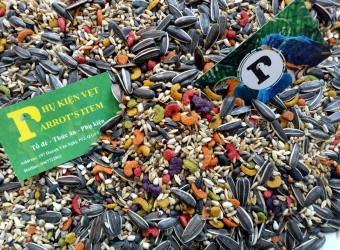 500G HẠT TRỘN KÈM HẠT TRÁI CÂY CHO VẸT XÁM CHÂU PHI, COCKATOO...