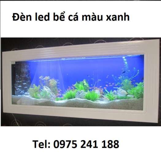 Đèn led bể cá Caibao T4-60LED (dùng cho bể 60-80cm)