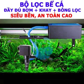 Combo máy bơm có hộp lọc, lọc máng, lọc tràn trên  cho hồ cá cảnh