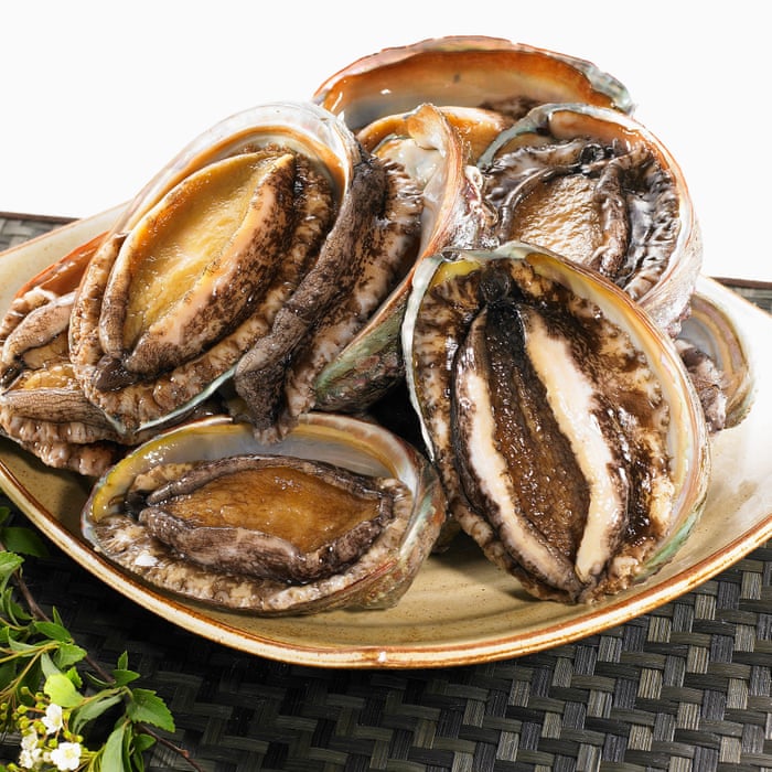 500g bào ngư hàn quốc size 18-20 con/kg