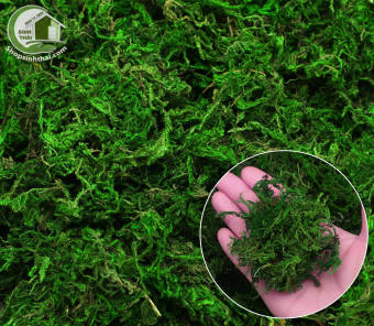 Bịch Cỏ Sợi Rêu Sợi Bột Rêu Cỏ Giả Dùng Phủ Chậu Cây Trang Trí Mô Hình
