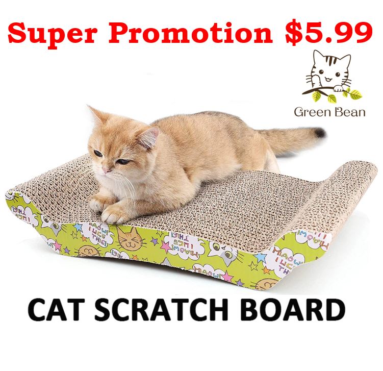 flat cat scratching board