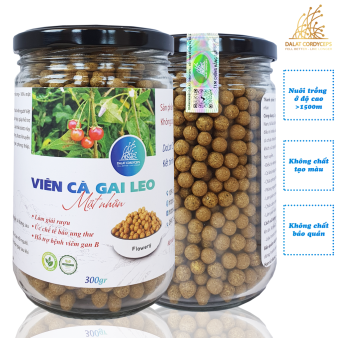 Viên trà cà gai leo mật nhân - Dalat Cordyceps