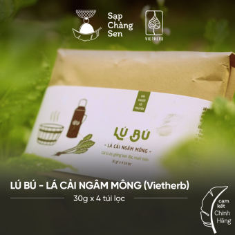 Lú Bú - lá cải ngâm mông (Vietherb) - 30g x 4 túi lọc