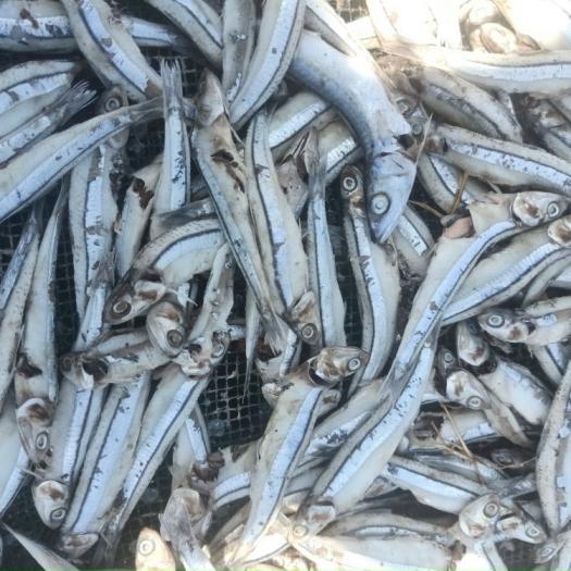 Cá khô xào khế, Làm cá khô chua ngọt - Cá cơm khô loại béo Miền Tây, mình dày, bao ngon - Hàng sạch, 100% tự nhiên, hàng Việt Nam Xuất Khẩu 1kg, 500gr, 100gr.