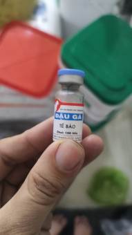 Vacin- Chủng Đậu Gà [100 con]