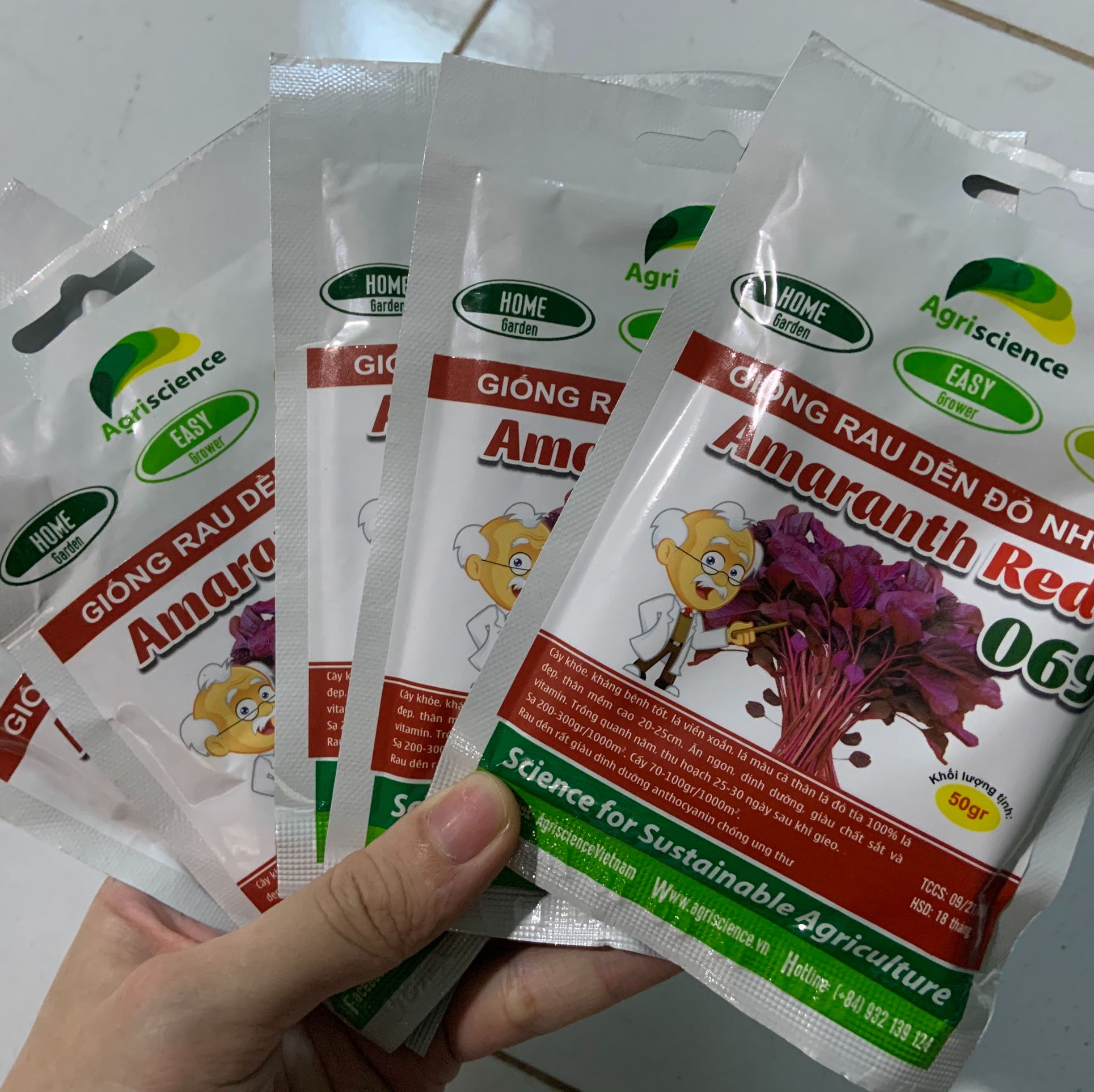 Hạt giống dền đỏ lá nhọn amaranth red 068 -