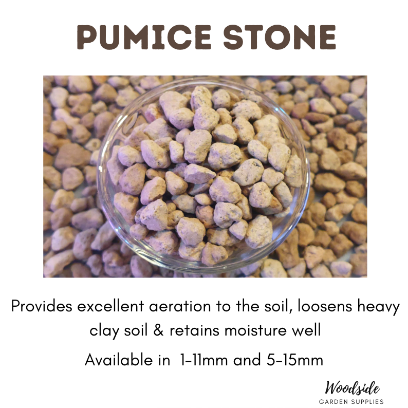 Pumice Stone Singapore Gardening Fasci Garden