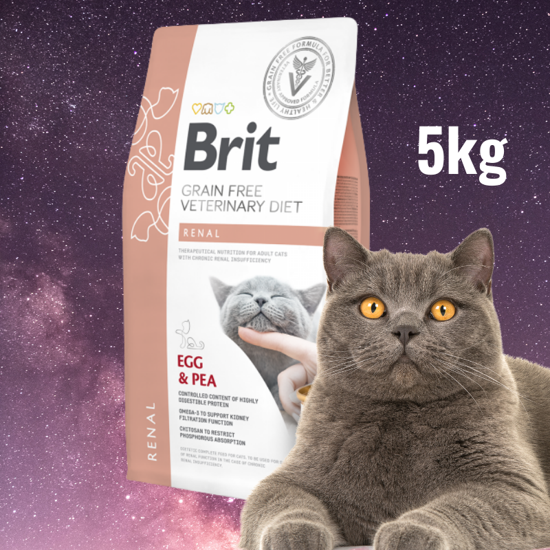 Grain free renal outlet cat food