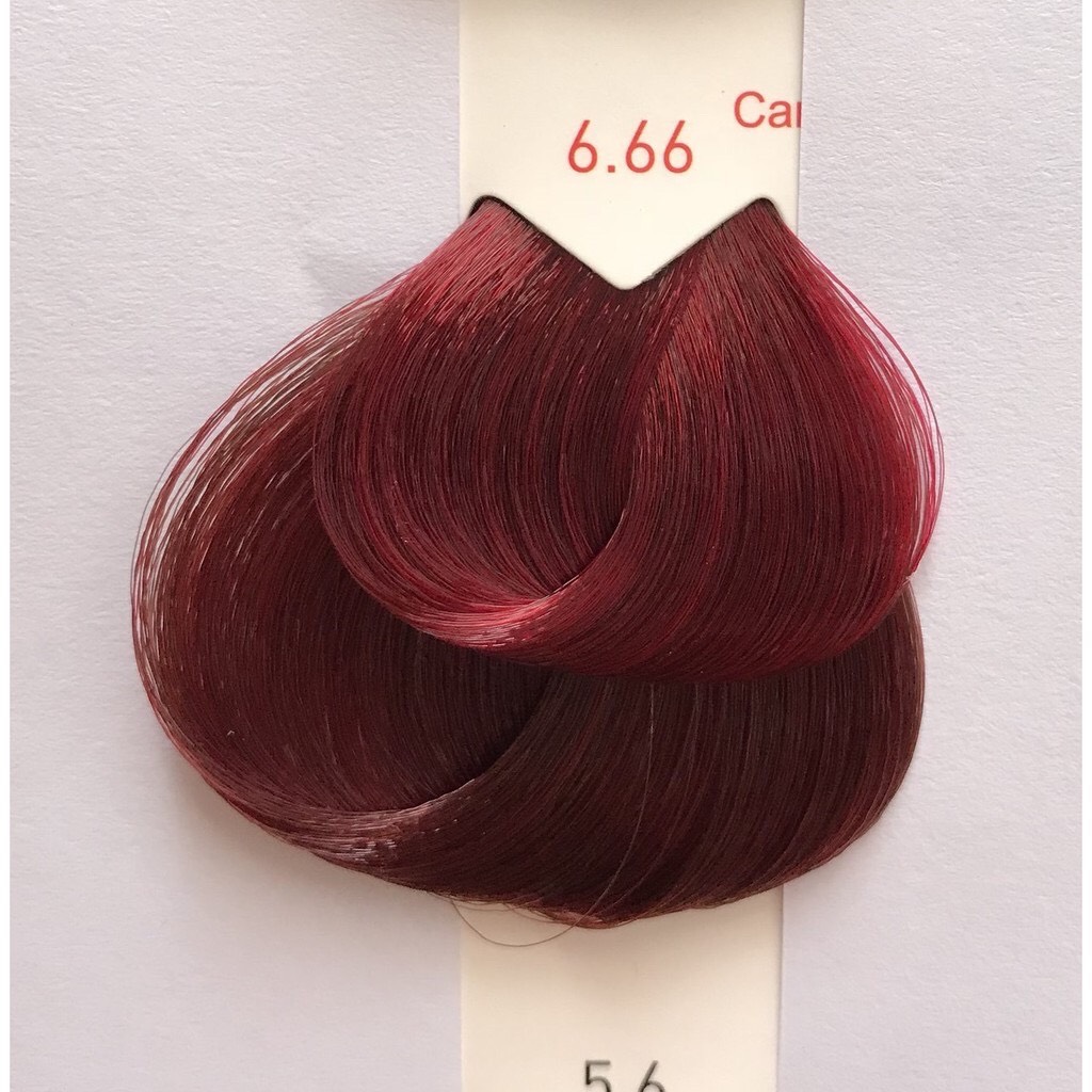 Lịch sử giá Thuốc nhuộm tóc màu đỏ tía LOreal Majirouge Dark Extra Red  Blonde Carmilane C666 50ml cập nhật 22023  BeeCost