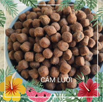 Cám lười Cho Cá Cảnh - Cám Viên Nổi Giành Cho người LƯỜI thích nuôi cá