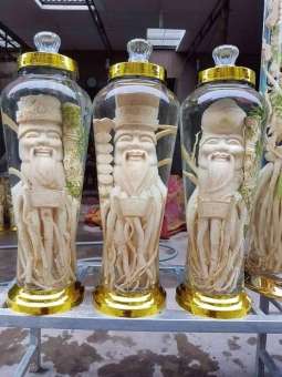 Rể đinh lăng điêu khắc bình 7l - HÌNH TÙY CHỌN