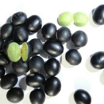 1kg hạt đỗ đen xanh lòng