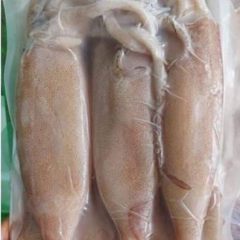 Mực ống nguyên con tươi ngon, tiện lợi (khay 500g)