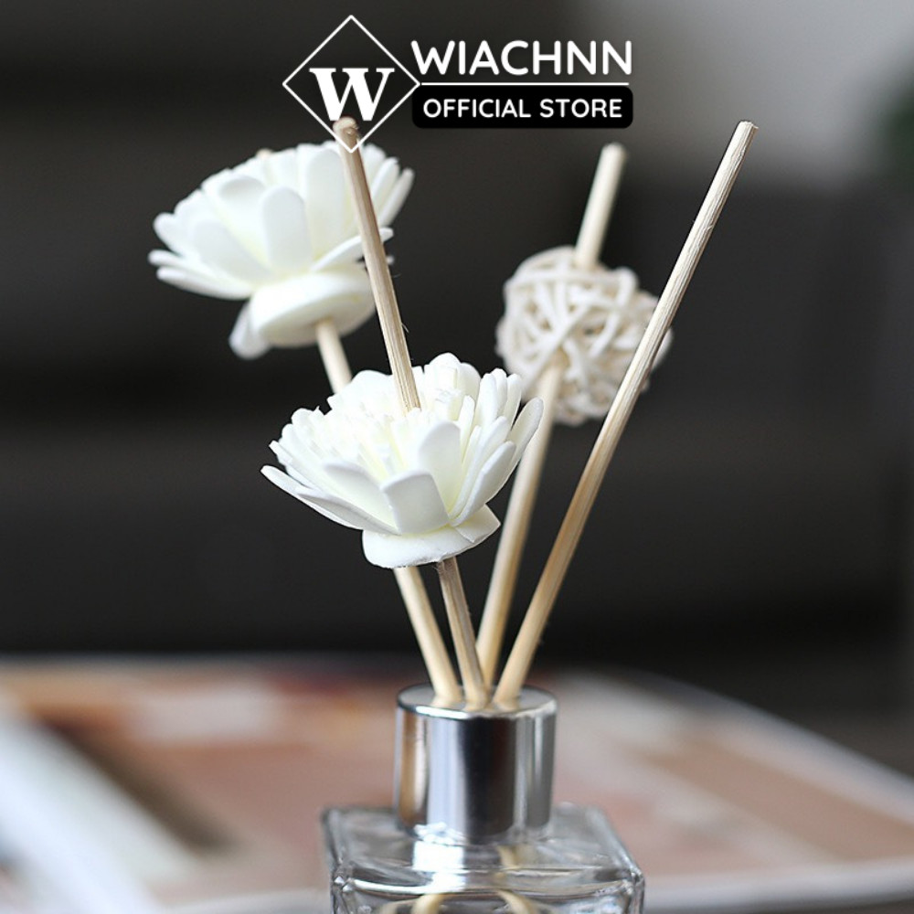 Que Hoa Quả Cầu Khuếch Tán Tinh Dầu Thơm Phòng WIACHNN Thay Thế Máy Xông
