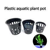 Aquatic Plant Pot for Aquarium Decoration - Live Plants