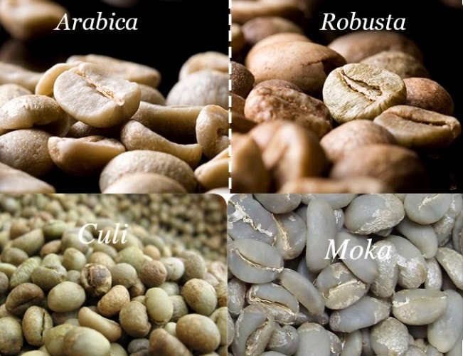 Afe robusta arabica nhân 500g