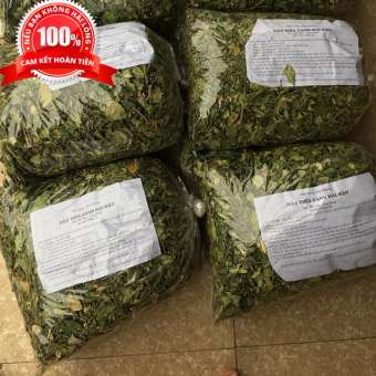 Dây thìa canh - dây thìa canh Hải Hậu Nam Định