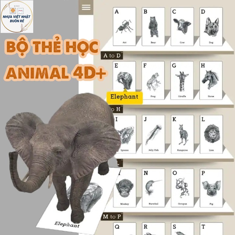 Bộ thẻ học tập cho bé hình ảnh animals 4d+ fullbox