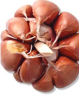 1 Kg Tỏi nâu đỏ củ to tép to chất lượng thơm ngon đạt chuẩn thực phẩm sạch