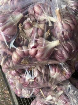 1kg Tỏi Tím rặc lựa từng củ đảm bảo chất lượng không hư bất kỳ củ nào ( Tỏi Tím Lý Sơn, Tỏi tím Đà Lạt, Tỏi Cô Đơn, Hành Tím)