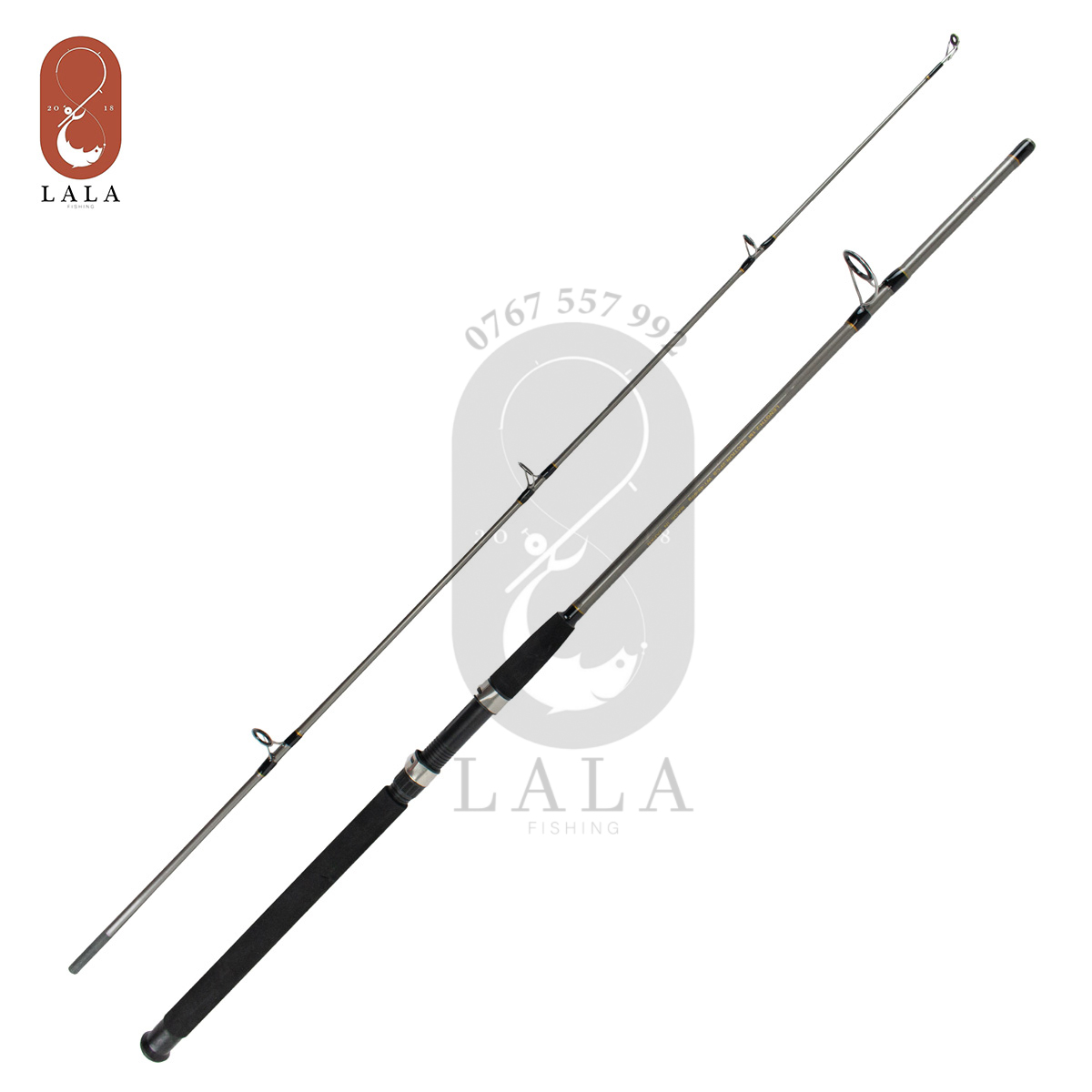 Cần câu máy đứng daiwa 576mw 2m1/ 2m4/ 2m7/ 3m/ 3m2