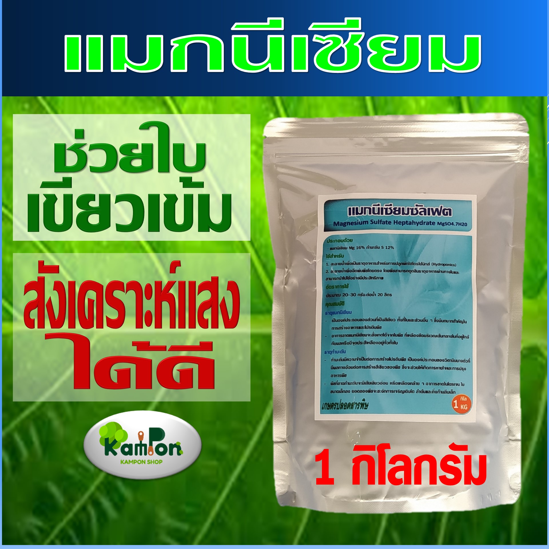 แมกนีเซียม แมกนีเซียมซัลเฟต Heptahydrate แมกนีเซียมพืช ช่วยสร้างคลอโรฟิลล์ พืชใบเขียวเข้ม สังเคราะห์แสงได้ดี ทำให้พืชเจริญเติบโตดี ( 1 กก. )