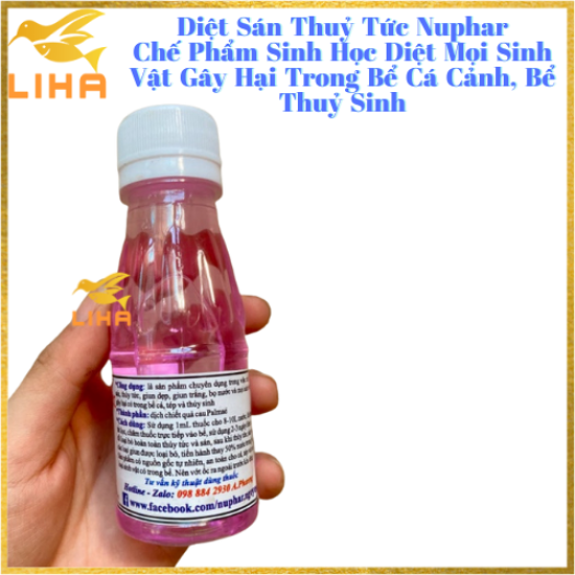 Diệt Sán Thuỷ Tức Nuphar - Chế Phẩm Sinh Học Diệt Mọi Sinh Vật Gây Hại Trong Bể Cá Cảnh, Bể Thuỷ Sinh