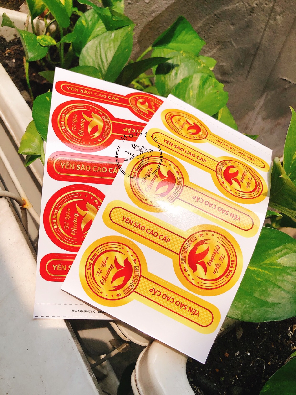 10 tem niêm phong dán hũ thuỷ tinh chưng yến