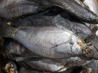 1 kg khô cá sặc rằn rừng u minh thương kiên giang (dưới 10 con/kg)