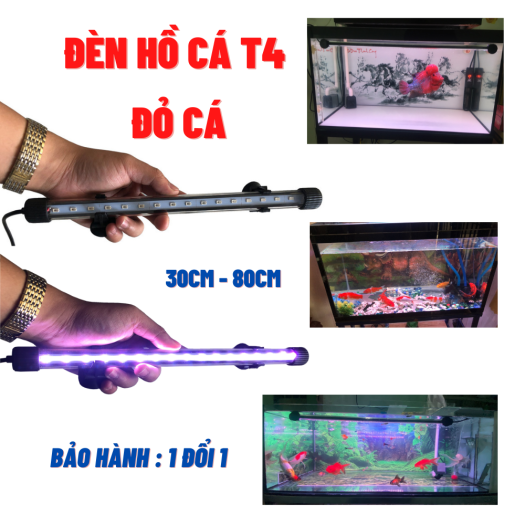 Đèn bể cá cảnh 30cm - 80cm giúp đỏ cá không đỏ nước