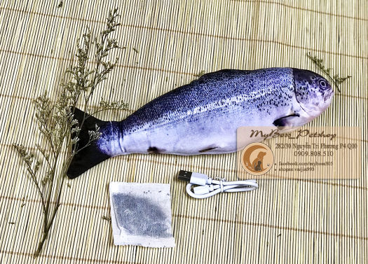 Con cá đồ chơi nhồi bông cho bé, cá nhảy sạc điện vỗ mông ru bé ngủ, đồ chơi chó mèo -thú cưng( tặng gói catnip cho mèo)