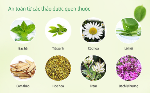 Xịt Thơm Miệng Thảo Dược GreeLux, Xịt Họng Thơm Miệng 12ml
