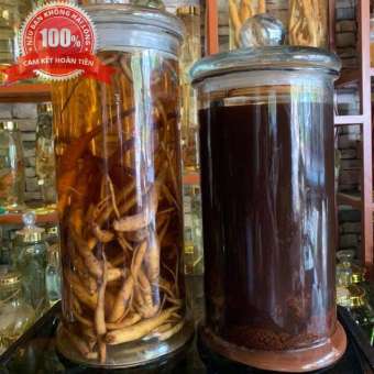 Đẳng sâm - Sâm dây ngọc linh - Khô 1kg