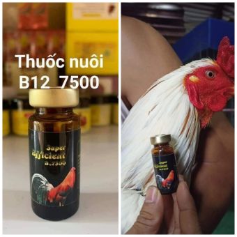 B12 - 7500 thu.ốc nuôi mexico -- LÊN PIN - BO Khủng  CHỈ 10 NGÀY