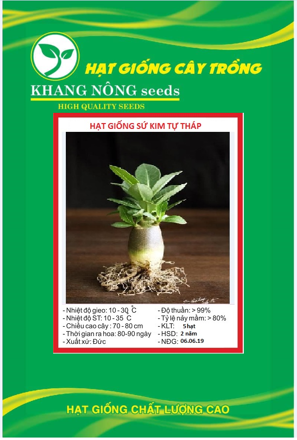 Hạt giống cây hoa sứ kim tự tháp - Gói 5 hạt