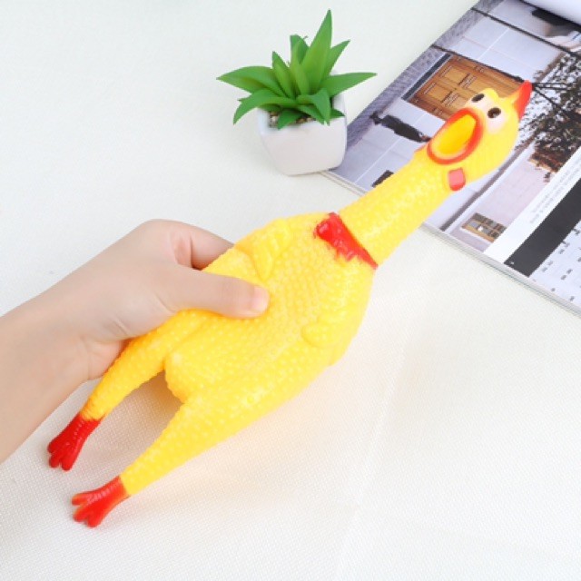 Gà bóp kêu Shrilling Chicken, gà kêu siêu to - Đồ chơi thú vị vui nhộn cho Boss