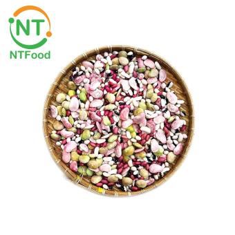 Đậu khô nguyên hạt Đà Lạt NTFood 1Kg / 500Gr - mix 6 loại hoặc tùy chọn - Nhất Tín Food