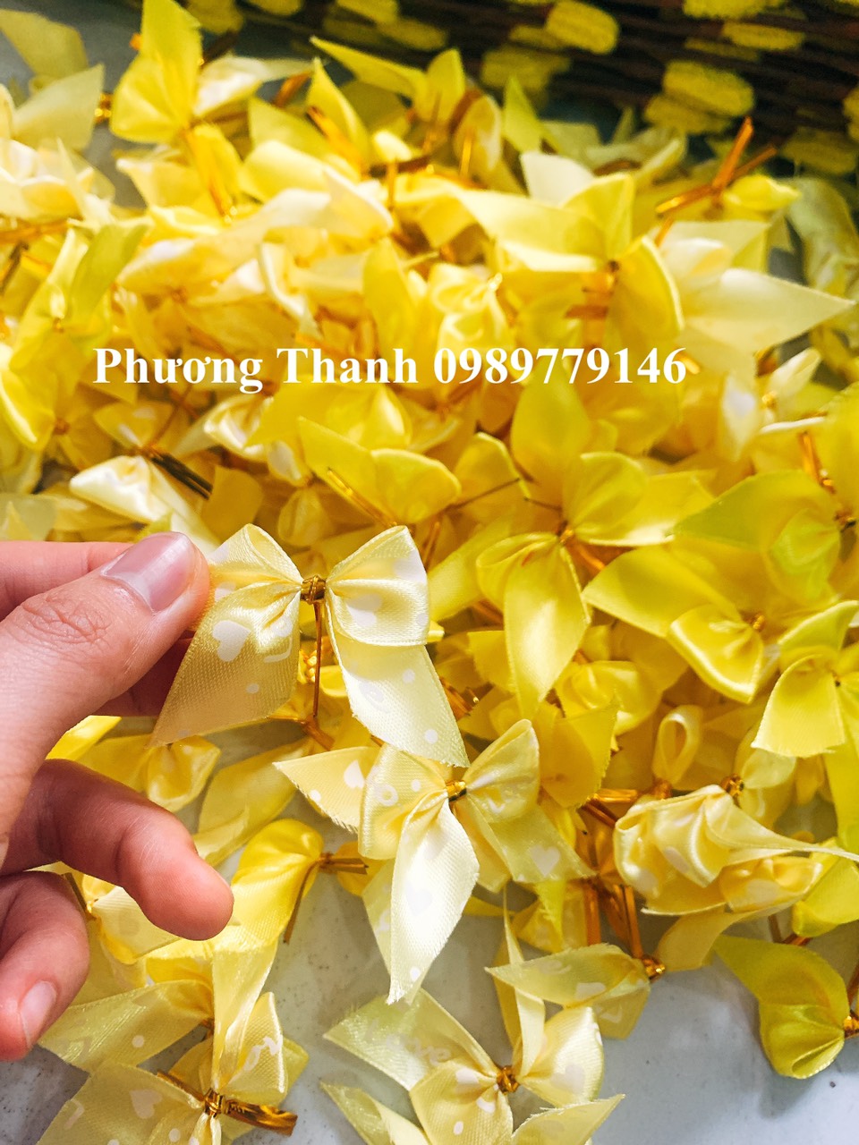 Nơ trang trí, bịch 20-50cai