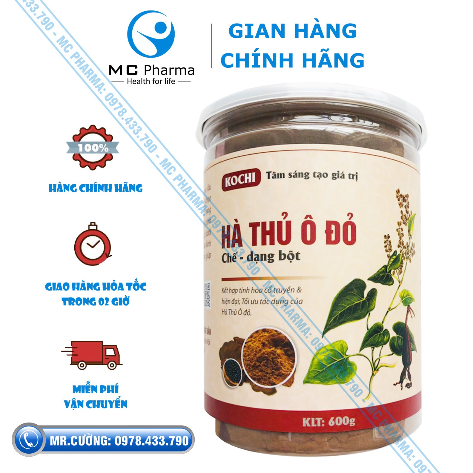Hà thủ ô đỏ Kochi