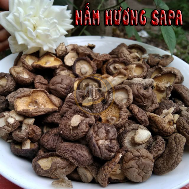 500gr Nấm Hương ăn chay ăn kiêng dủ dinh dưỡng giảm cân loại 1 Thiên Thảo Organic
