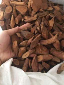 Cây Mú Từn - Cù boong nậu - LOẠI 1 ( GÓI 1kg)