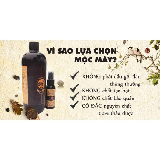 Cao dược liệu Dầu gội đầu Mộc Mây