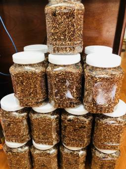 GẠO LỨC SẤY RONG BIỂN