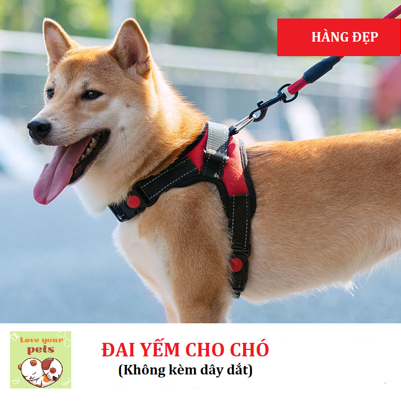 Đai yếm cho chó