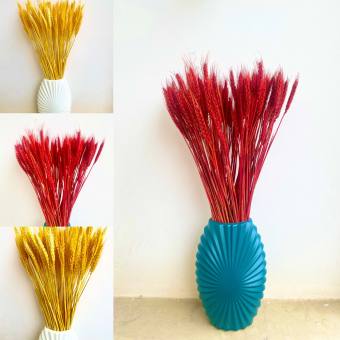 100 Bông lúa mạch vàng loại VIP 1 chụp ảnh hoặc trang trí nhà cửa, Bông Lúa Mạch Khô Decor Trang Trí - Tài Lộc