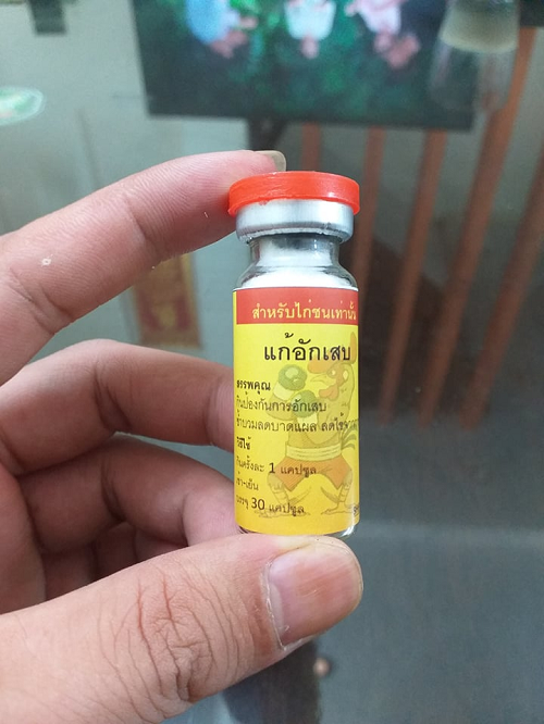 Tiêu Kén Tiêu gom kén nước,kén cứng,tiêu sưng cho gà sau khi đá,thuốc gà đá thái lan.