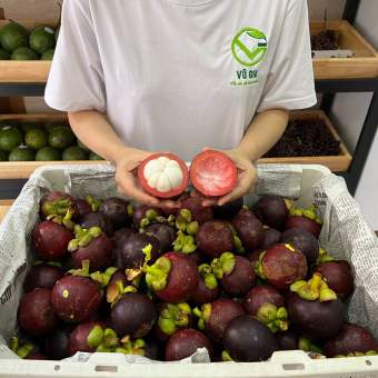 Măng Cụt ( 500G/1KG )