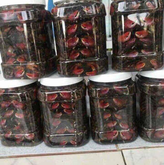 1 KÍ BA KHÍA MUỐI NGUYÊN CON NĂM CĂN RẠCH GỐC CÀ MAU