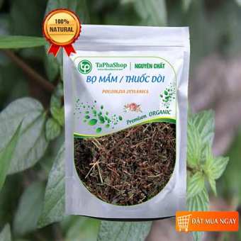 Cây thuốc dòi khô 1kg Tấn Phát, Thuốc dòi tím, Nấu nước bổ phổi Thanh nhiệt Trừ ho Tiêu viêm họng